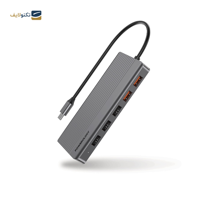 gallery-هاب USB-C پاورولوجی 12 پورت مدل P121HBCGY-gallery-0-TLP-36244_9f7f15ff-163d-49be-959e-a7bd77ebeafa.png