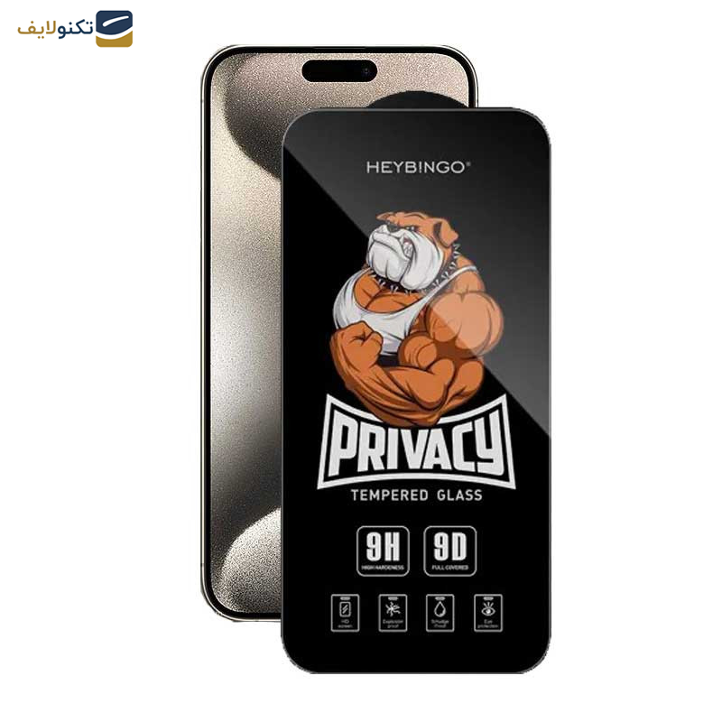 محافظ صفحه نمایش حریم شخصی اپیکوی مدل Privacy Hey Bingo مناسب برای گوشی موبایل اپل iPhone 15 Pro Max