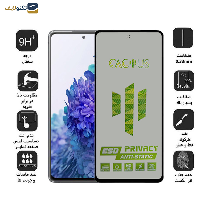 محافظ صفحه نمایش اپیکوی مدل  Cactus-ESD-Privacy مناسب برای گوشی موبایل سامسونگ Galaxy A53/ A52/ A52s/ A51/ S20 FE/ M31s