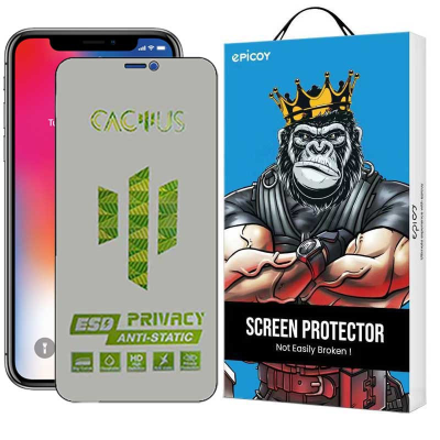 محافظ صفحه نمایش حریم شخصی اپیکوی مدل Cactus-ESD-Privacy مناسب برای گوشی موبایل اپل iPhone 11 - XR
