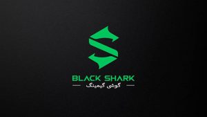 Read more about the article مشخصات شیائومی Black Shark 4