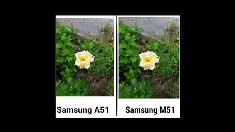 مقایسه دوربین A51 و M51