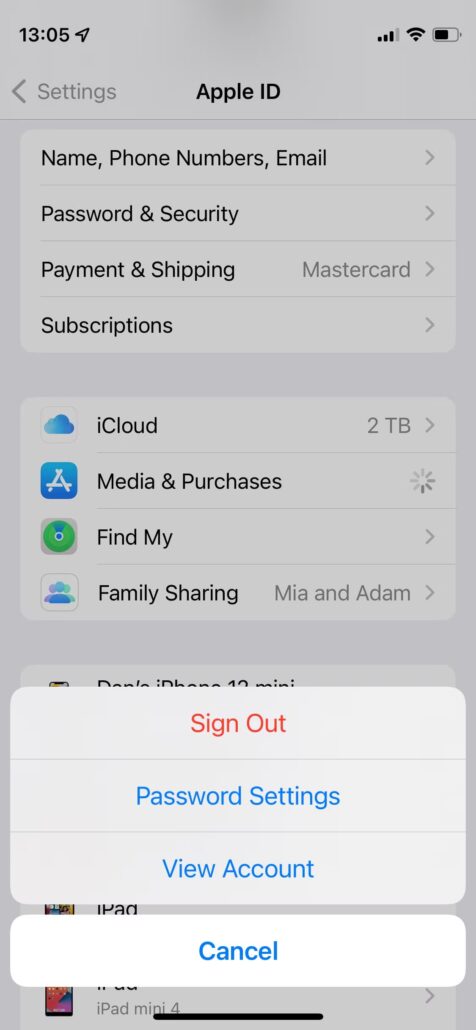 View Account option in iPhone Apple ID settings